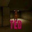 TED