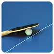 Table Tennis Pro