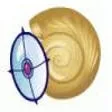 ClamWin