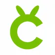 Cricuts Design Space PRO
