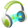Wondershare Streaming Audio Recorder