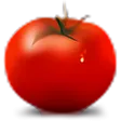 Tomighty