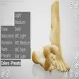 HAELE 3D - Feet Poser Lite