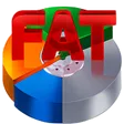 RS FAT Recovery