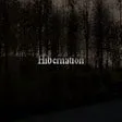 Hibernation