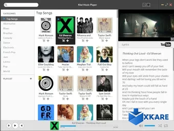 Kiwi Music Player