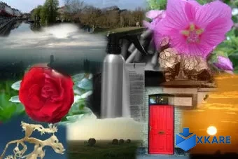 Microsoft AutoCollage