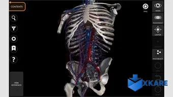 Anatomy 3D Atlas