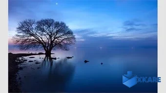 Japanese Landscapes