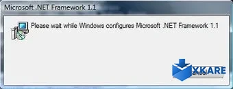 .NET Framework Version 1.1