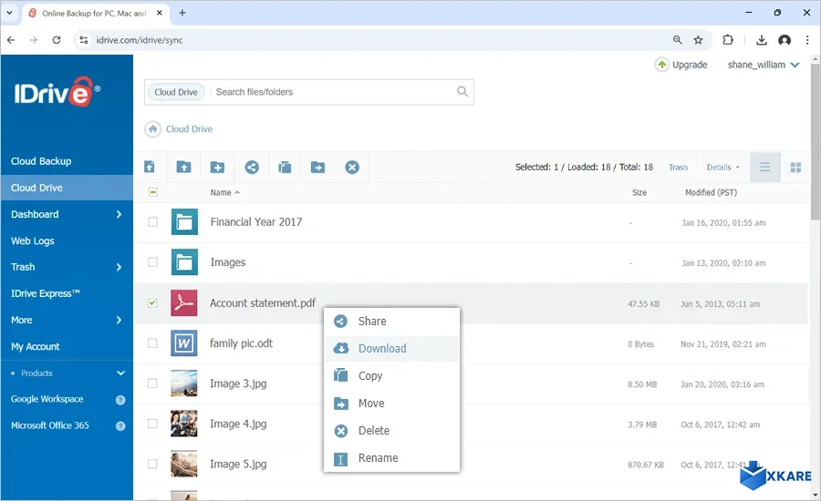 IDrive Backup and Storage