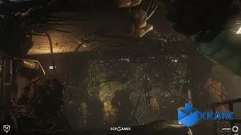 SCP: 5K