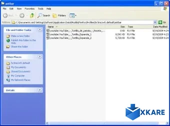 Ant.com Video Downloader