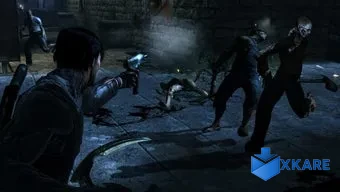 Dark Sector