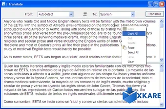 I Translate