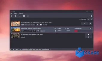 Vividl Video Downloader