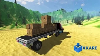Truck Driver Job