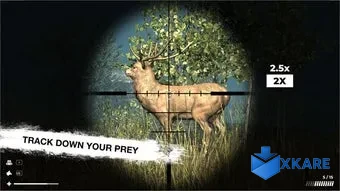Hunting Animals 3D