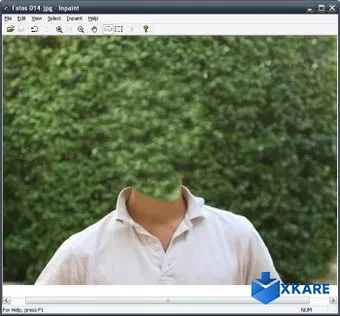 Inpaint
