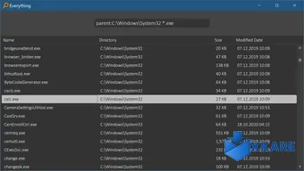 Everything.NET