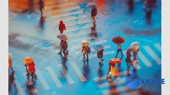 Rain in the City