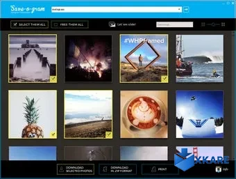 Save-o-gram Instagram Downloader