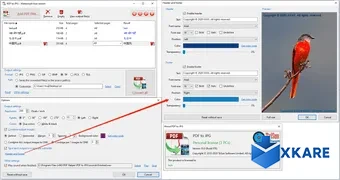 PDF to JPG converter