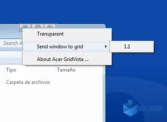 Acer Gridvista