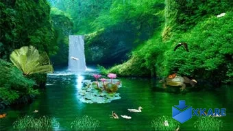 New Zealand Waterfall