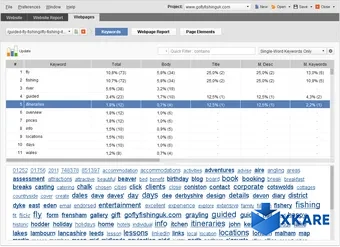Website Auditor