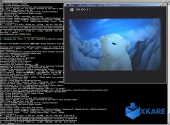 MPlayer for Windows