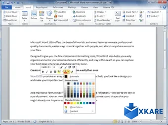 Microsoft Office 2010