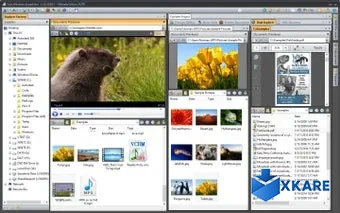 Vole Windows Expedition