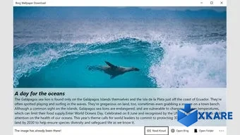 Bing Wallpaper Download