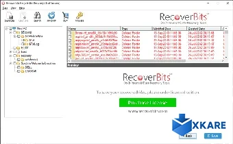 RecoverBits Recycle Bin Recovery