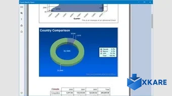 RPT Viewer