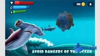Hunting Shark 2021