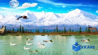 Serene Mountain Scape