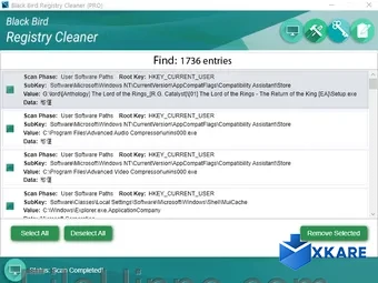 Black Bird Registry Cleaner
