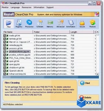 HS CleanDisk Pro