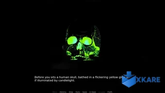 A Skull