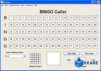 Bingo Caller