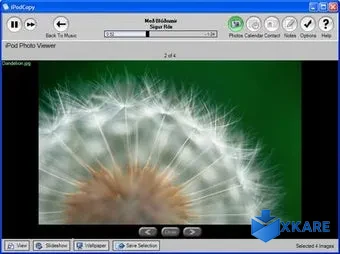 iPodCopy