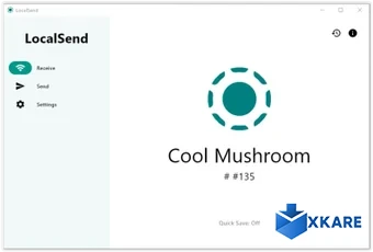 LocalSend