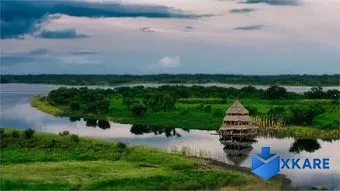 Amazon Landscapes PREMIUM
