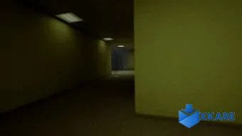 Backrooms of reality