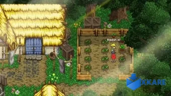 Harvest Island