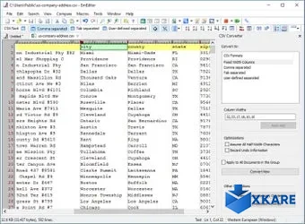 EmEditor Professional V.12