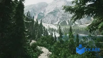 Lushfoil Photography Sim