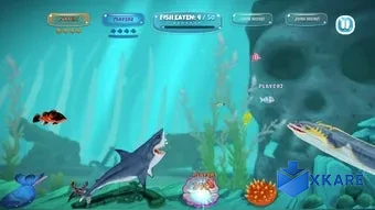 SHARK! SHARK!
